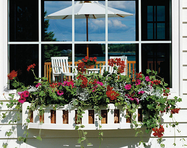 Window Box