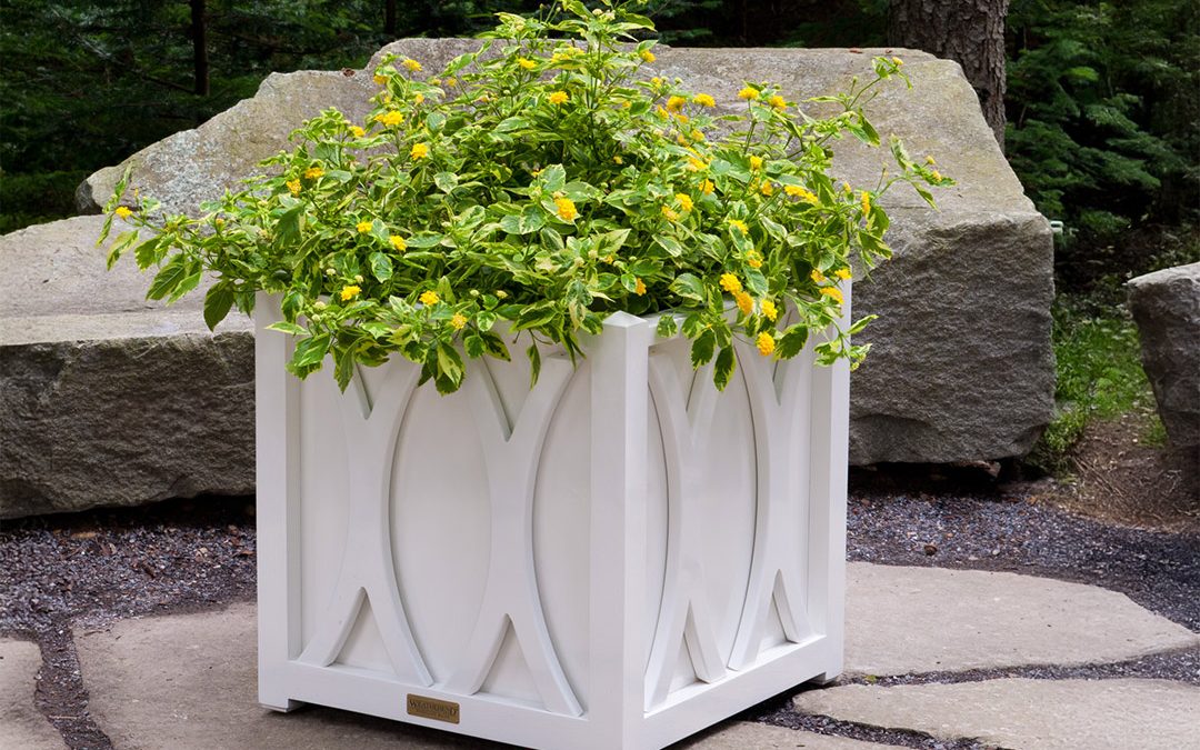 Expressions Planter