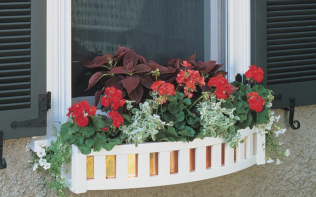 Window Box